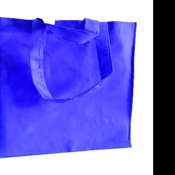 BOLSA ECOLOGICA PNL GRANDE AZUL
